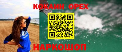 крисы Кулебаки