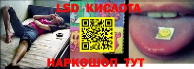 крисы Кулебаки