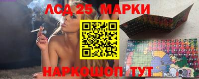 крисы Кулебаки