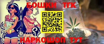 крисы Кулебаки
