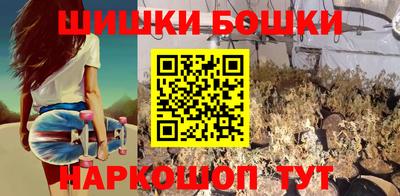 крисы Кулебаки