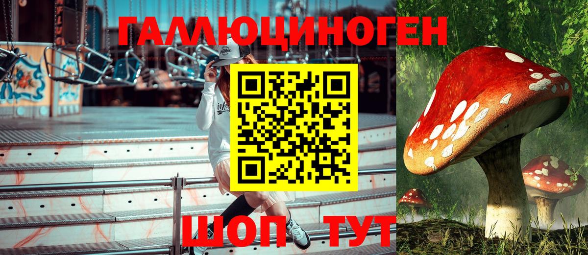 где найти наркотики  Псилоцибиновые грибы MAGIC MUSHROOMS  Вход с VPN  Гуково 