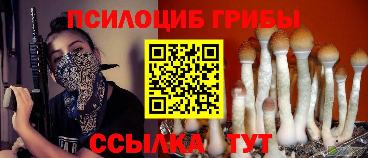 Галлюциногенные грибы GOLDEN TEACHER Гуково